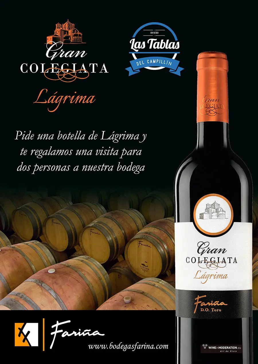 Visita a Bodegas Fariña, en Toro (Zamora)