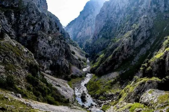 gastronomia en asturias